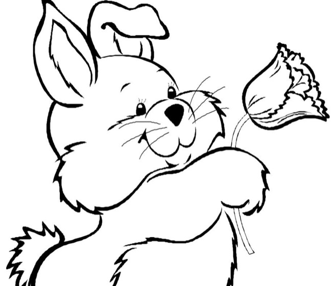 easter-bunny-and-flower-coloring-page