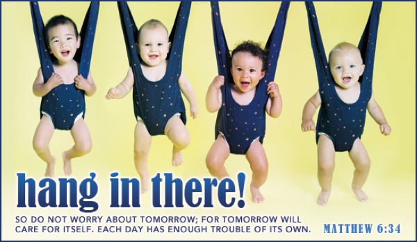 hang-in-there-babies